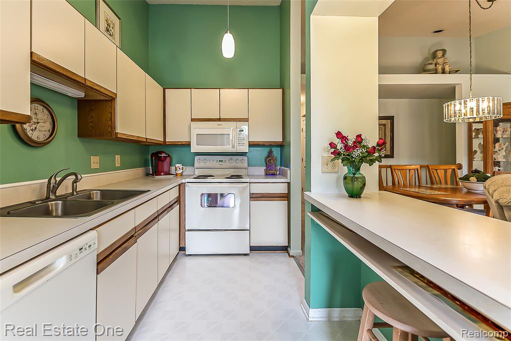 62511 RALEIGH Court, 5, South Lyon, MI 48178 — Photo 10
