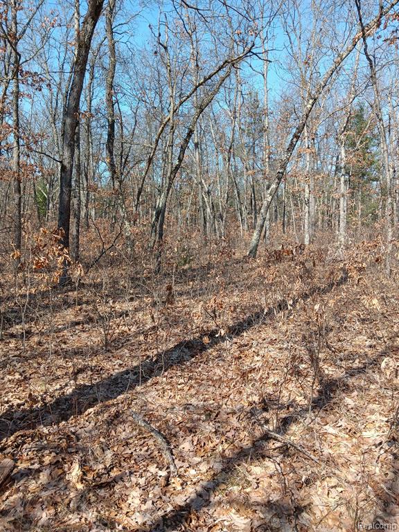 0000 Cedar Creek Road, Wellston, MI, 49689