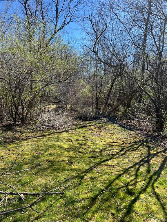 5456 N ELMS Road, Flushing, MI 48433 — Photo 12
