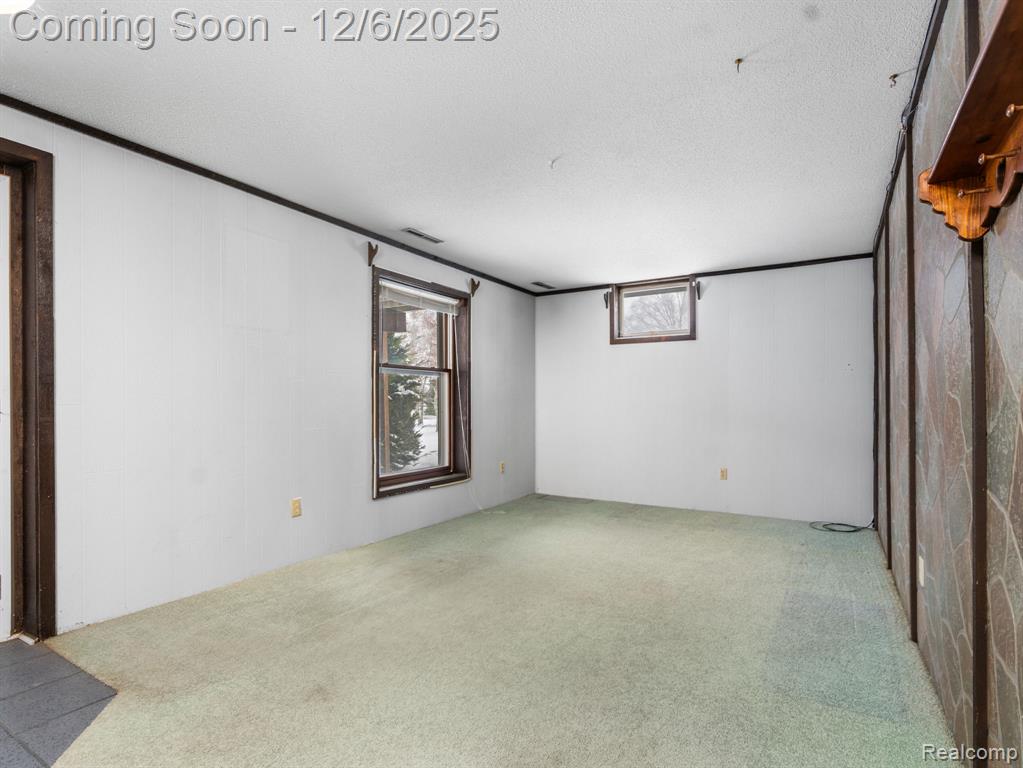 5886 S Green Avenue, Fremont, MI 49412 — Photo 24