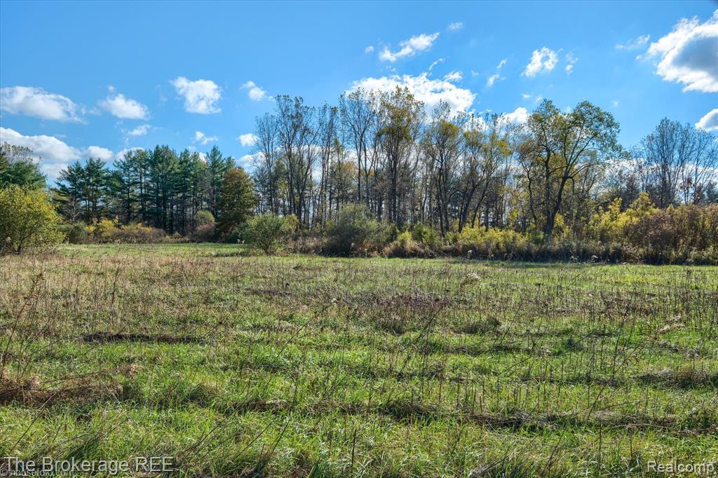 VL Janna Leigh Drive, Otter Lake, MI 48464 — Photo 10