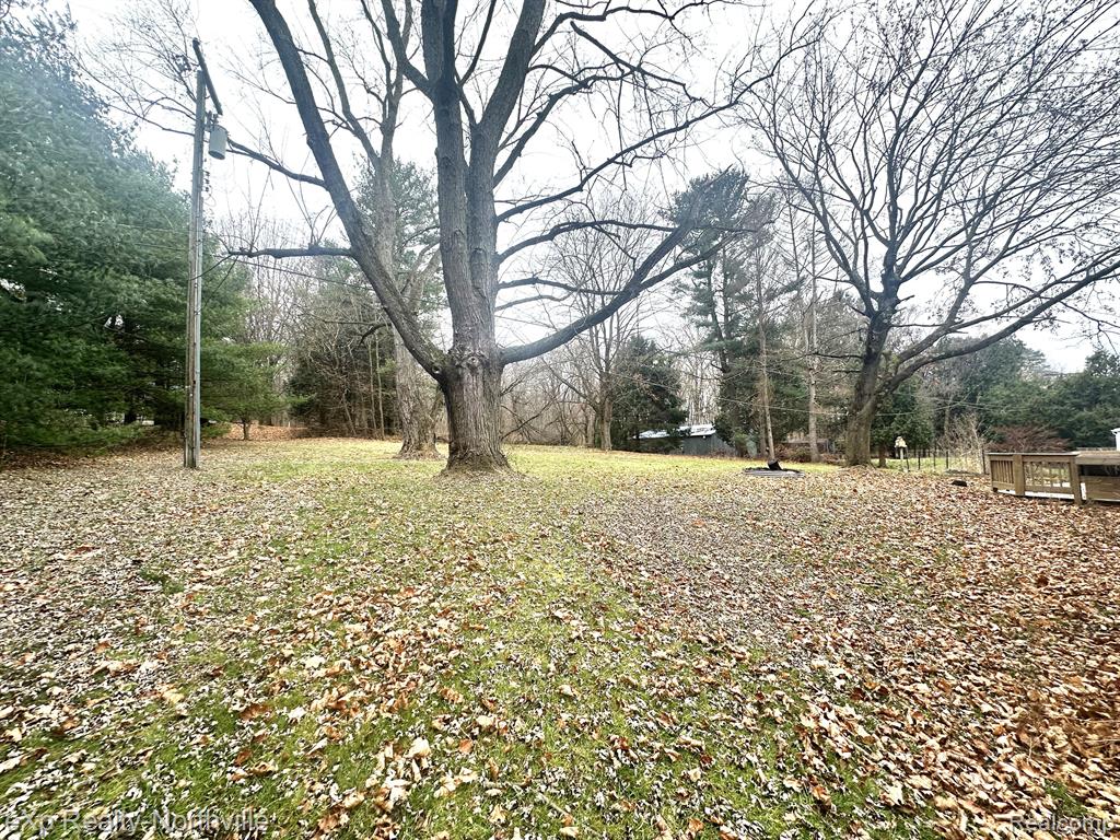 8255 N TERRITORIAL Road, Dexter, MI 48130 — Photo 8