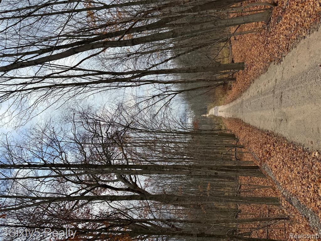 7710 10 Mile Road, Bitely, MI 49309 — Photo 2