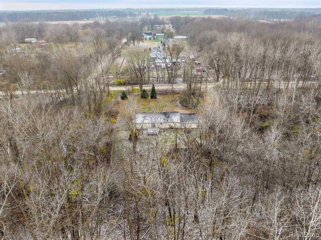 13280 WANTY Road, Milan, MI 48160 — Photo 23