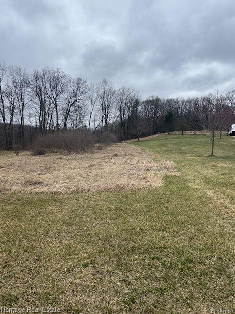 Lot K Rosy, Leonard, MI 48367 — Photo 6