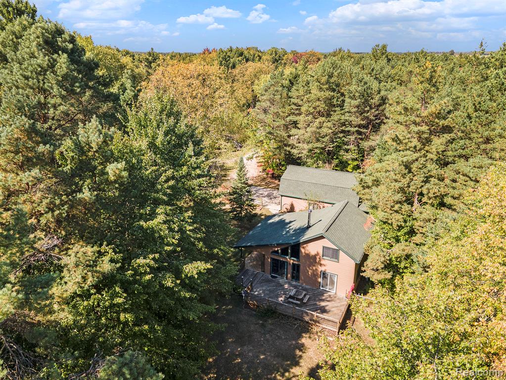 6363 M 55, Whittemore, MI 48770 — Photo 2