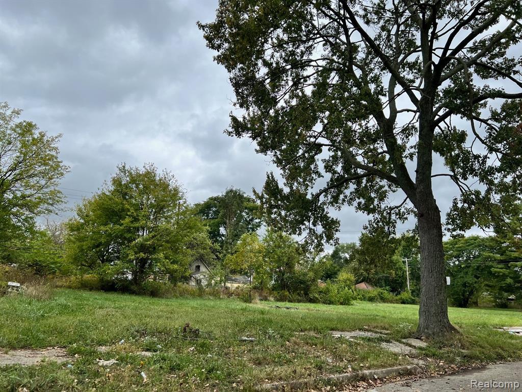 13832 PINEWOOD Street, Detroit, MI, 48205