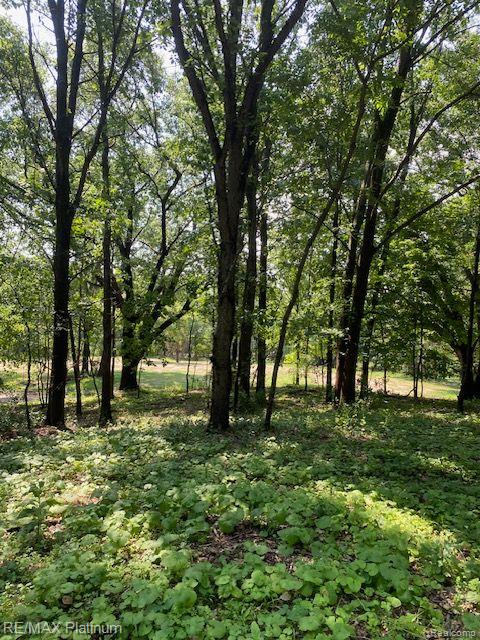 5 Sleaford-Parcel 5 - 2.5 Acres Road, Howell, MI 48843 — Photo 12