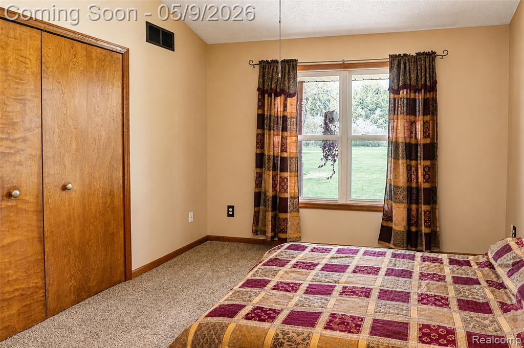 11119 Garrett Drive, Fowlerville, MI 48836 — Photo 26