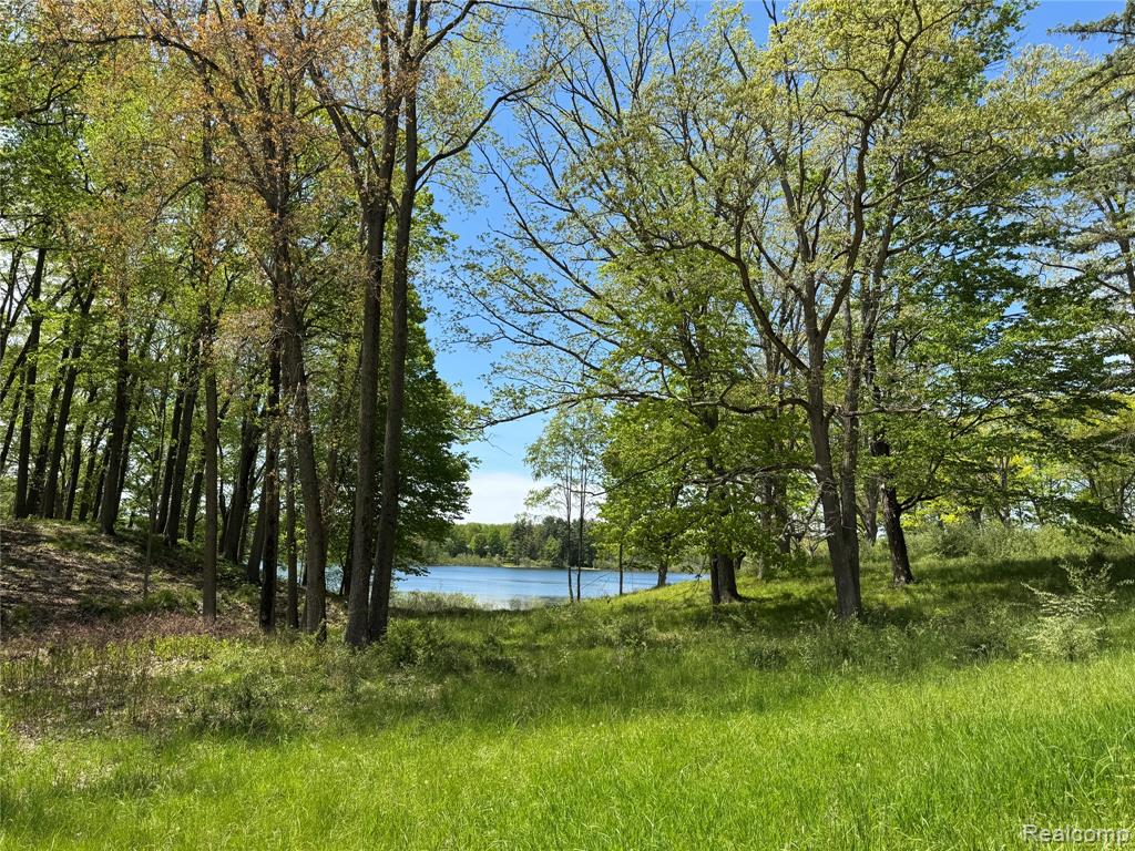 6727 Sherman Street, Otter Lake, MI 48464 — Photo 9
