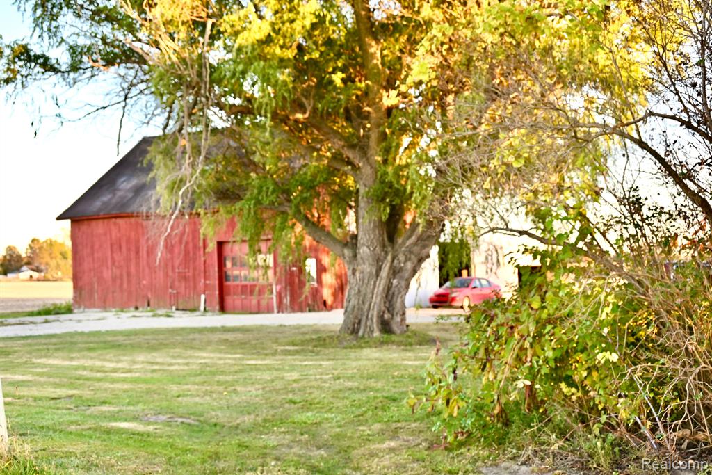 12101 TODD Road, Ida, MI 48140 — Photo 8