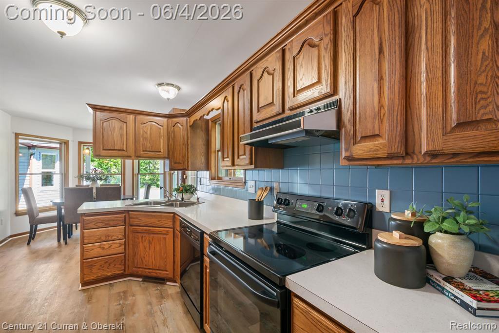 53375 Martha Lane, Northville, MI 48167 — Photo 18