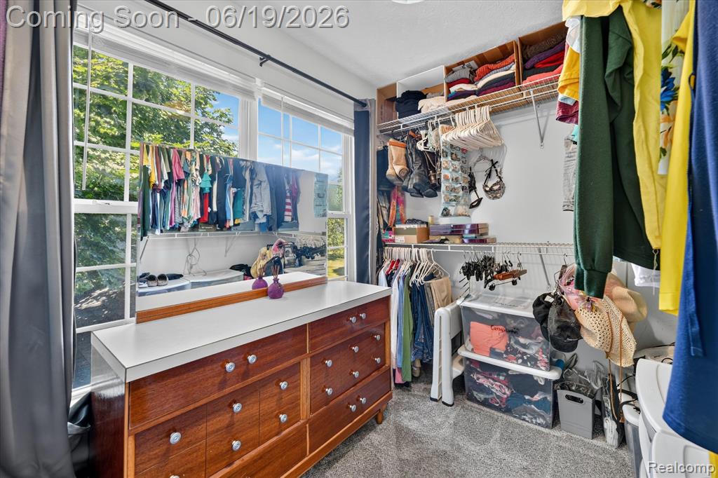 5900 Carter Court, Howell, MI 48843 — Photo 26