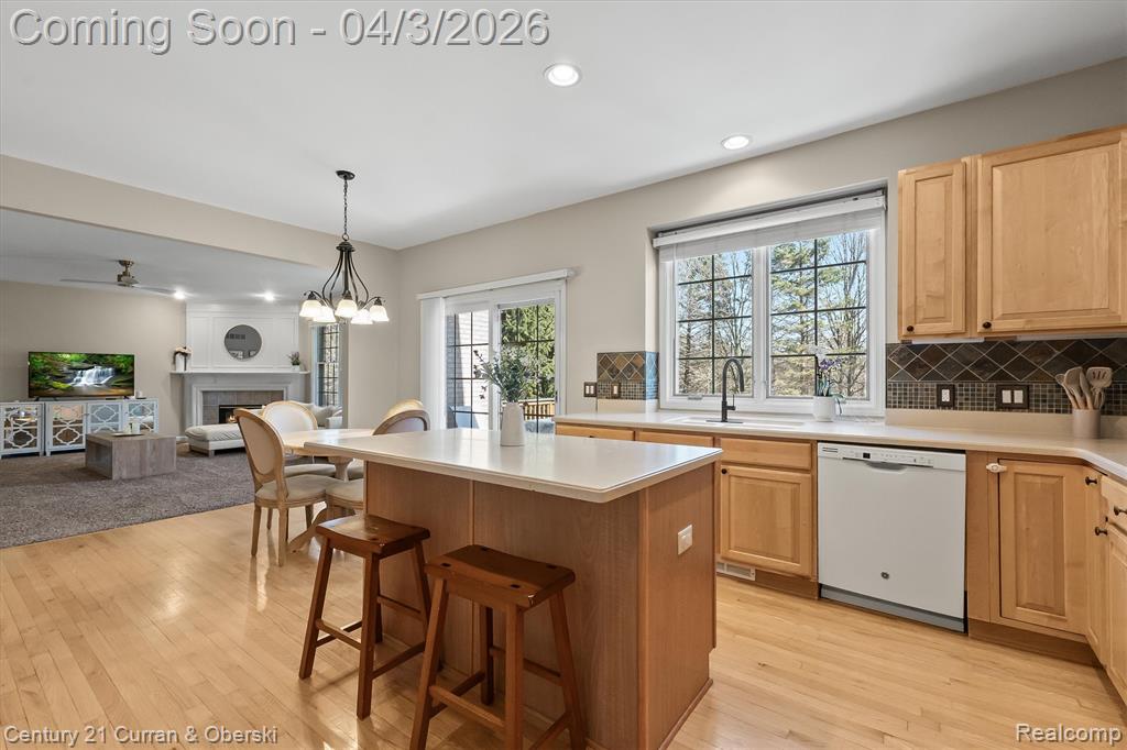 44481 White Pine Circle E, Northville, MI — Photo 17