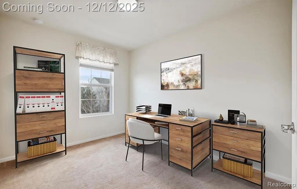 27846 Hopkins Drive, Novi, MI 48377 — Photo 25