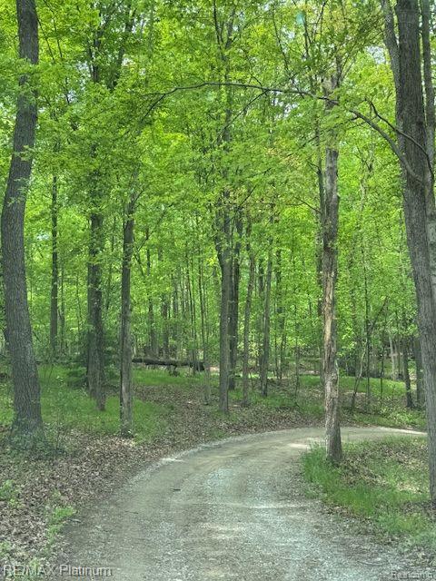 5234 King Road, Howell, MI 48843 — Photo 3