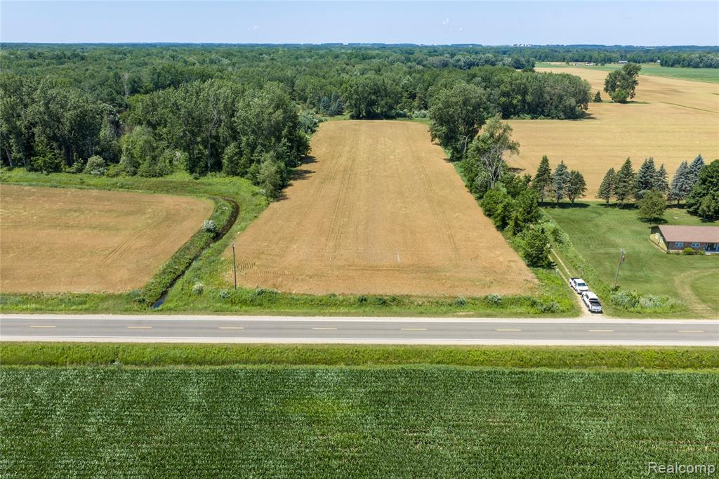 Parcel A Dodge Rd, Cass City, MI 48726 — Photo 3