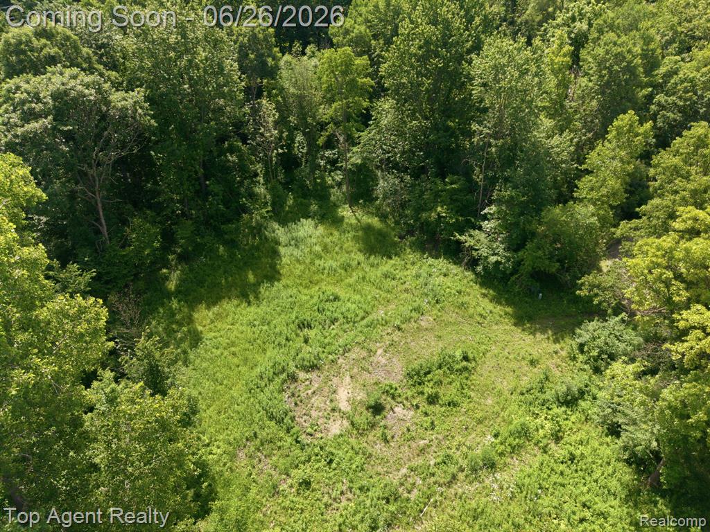 657 DONNA MAE, Leonard, MI 48367 — Photo 14