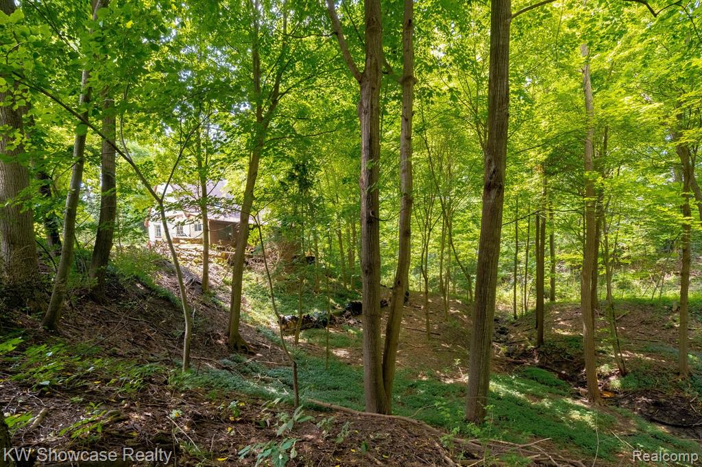 43550 RESERVOIR Street, Plymouth, MI 48170 — Photo 16