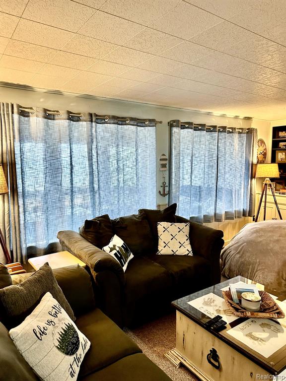 24579 US HIGHWAY 23 N, Ocqueoc, MI 49759 — Photo 21