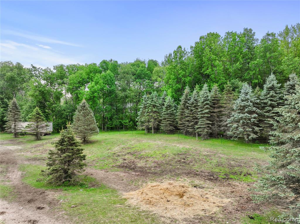 8875 N Lakola Road, Tustin, MI 49688 — Photo 16