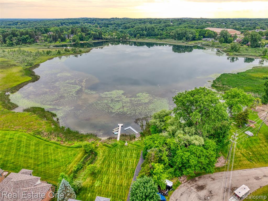 5258 Hidden Pines Drive, Brighton, MI 48116 — Photo 10