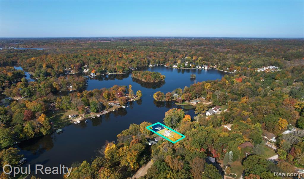 11646 WEIMAN Drive, Pinckney, MI 48169 — Photo 11