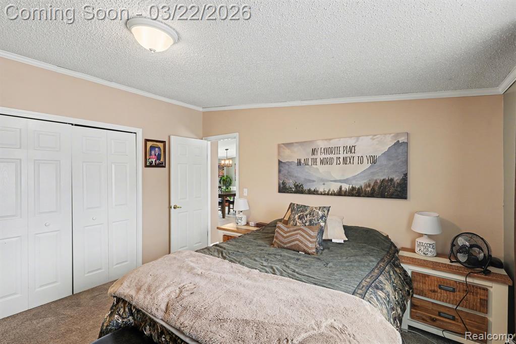 4458 Palms Road, Casco, MI 48064 — Photo 19