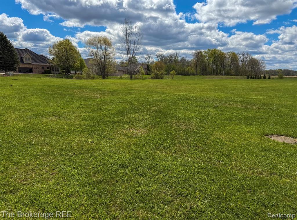 6318 Victoria Lane, Swartz Creek, MI 48473 — Photo 4