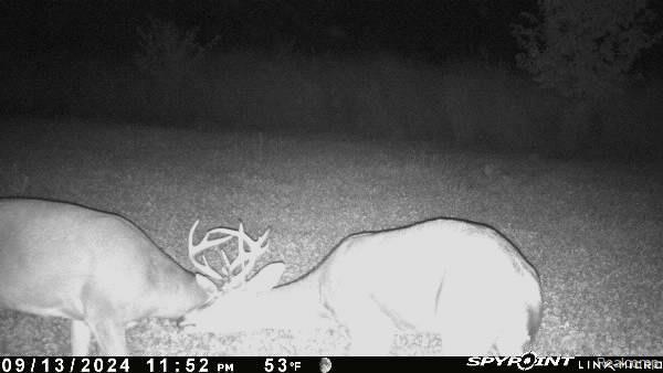 V/L BLAKE Road, Jackson, MI 49201 — Photo 95