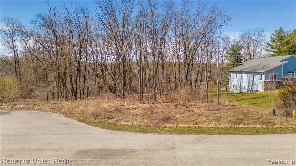 10468 Oak Shore Drive, South Lyon, MI 48178 — Photo 15