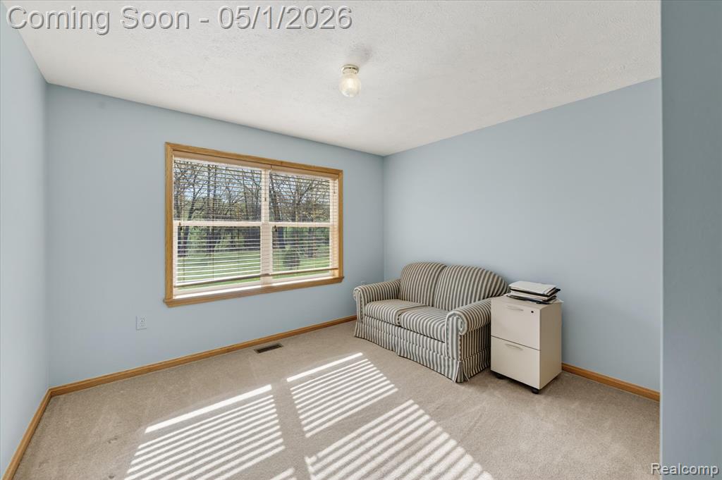 9074 Hamburg Road, Brighton, MI 48116 — Photo 23