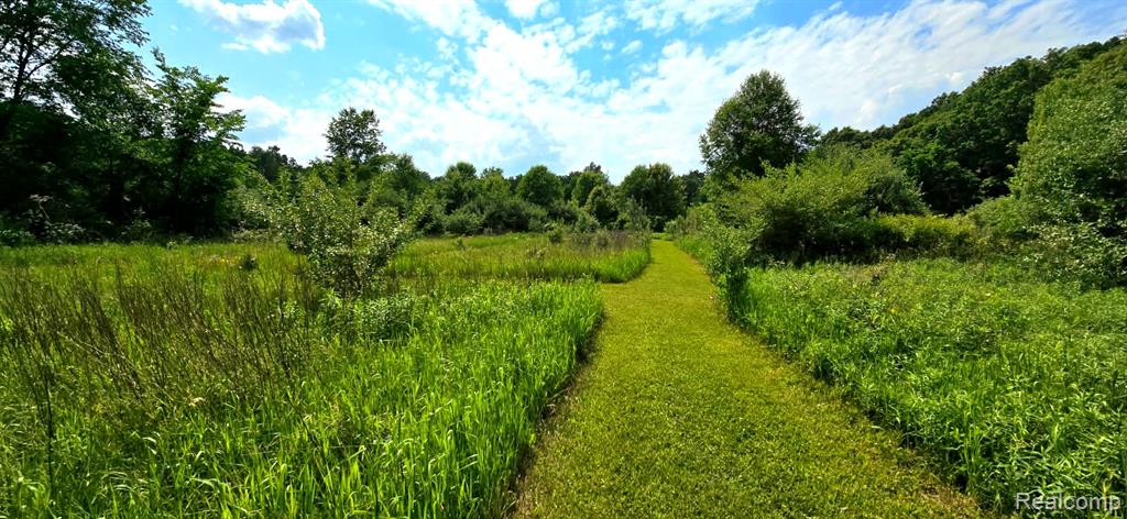 16744 Arnold Road, Gregory, MI 48137 — Photo 3