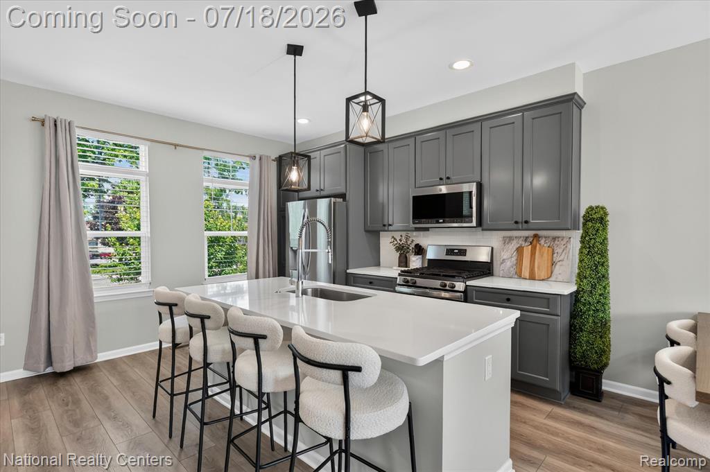 565 Jenny Way, Brighton, MI 48116 — Photo 13
