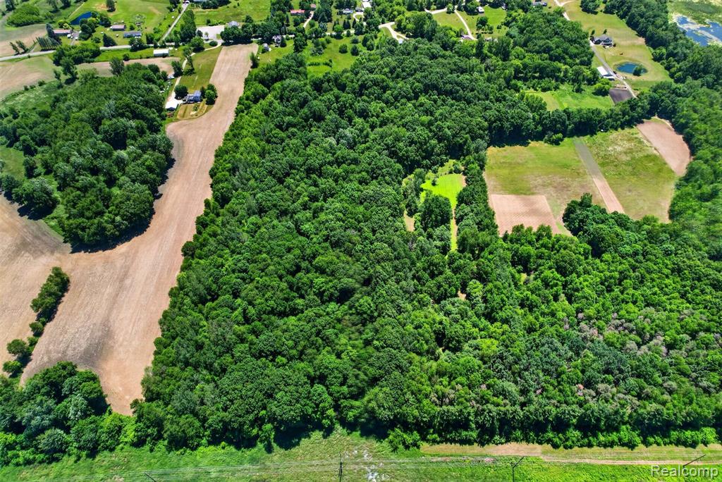 V1 Murray Road, Dansville, MI 48819 — Photo 10