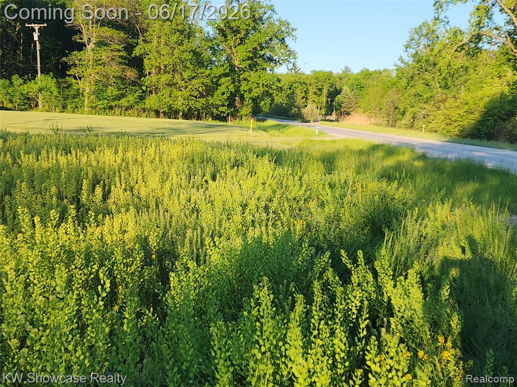 7240 PUTTYGUT Road, China, MI — Photo 9