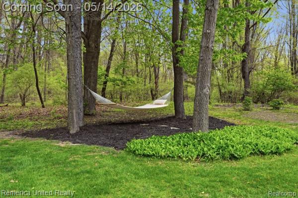 3020 Brighton Road, Howell, MI 48843 — Photo 48