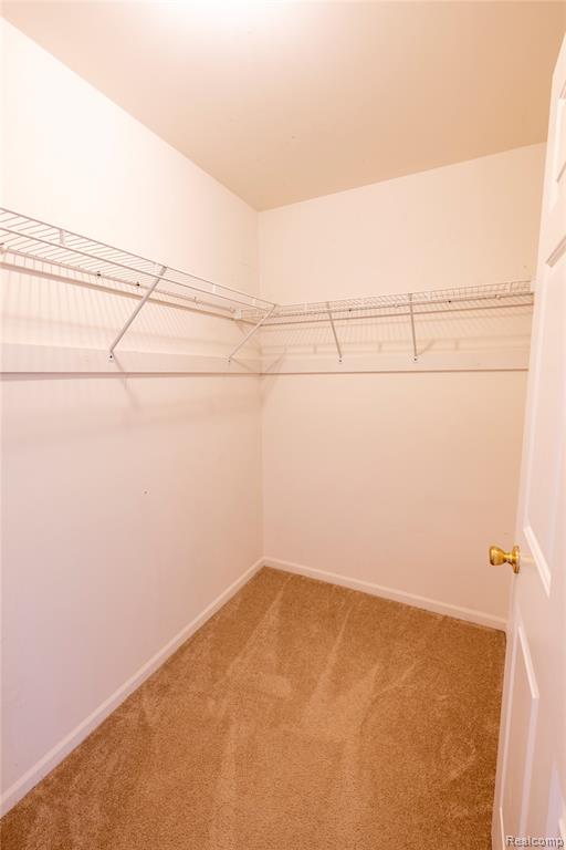 5674 Acorn Lane, Sterling Heights, MI 48314 — Photo 9