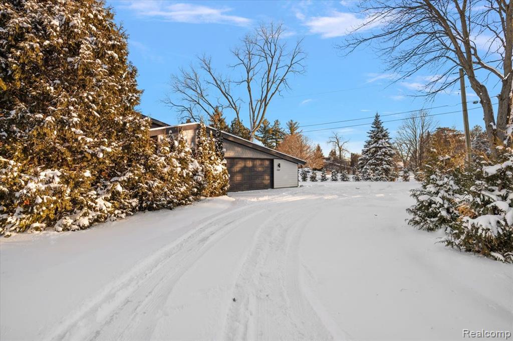 View of Driveway (2)