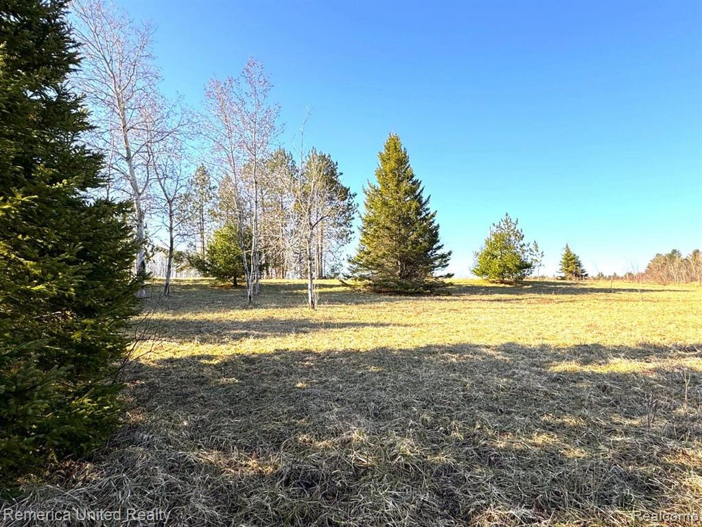 4052 S RIVER Road, Cheboygan, MI 49721 — Photo 11