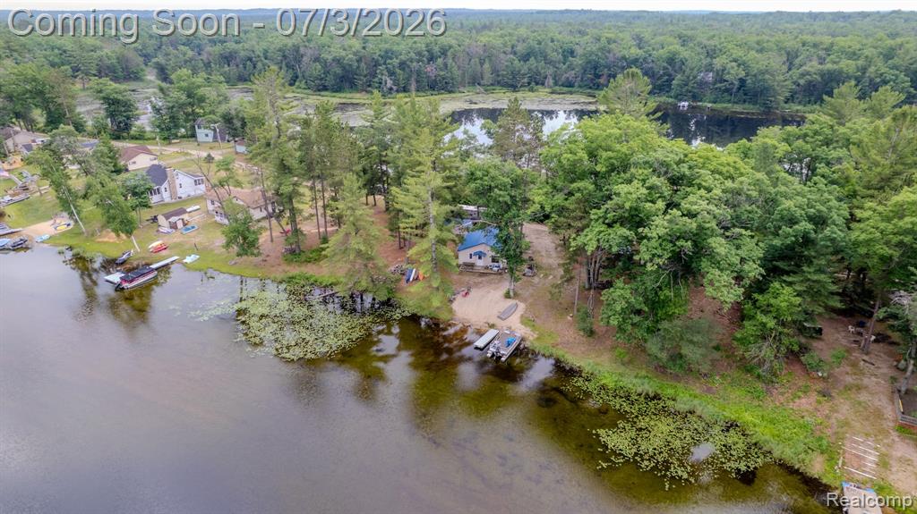 8272 Paradise Drive, South Branch, MI 48761 — Photo 40