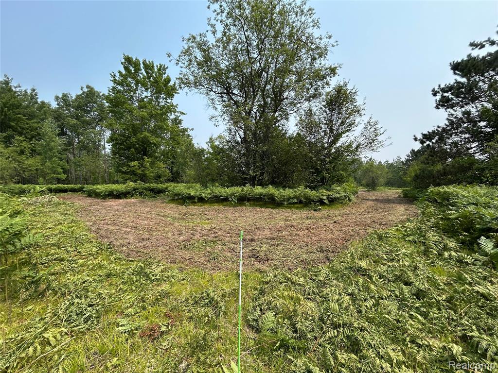 6658 Brookfield Court, Elmira, MI 49730 — Photo 4