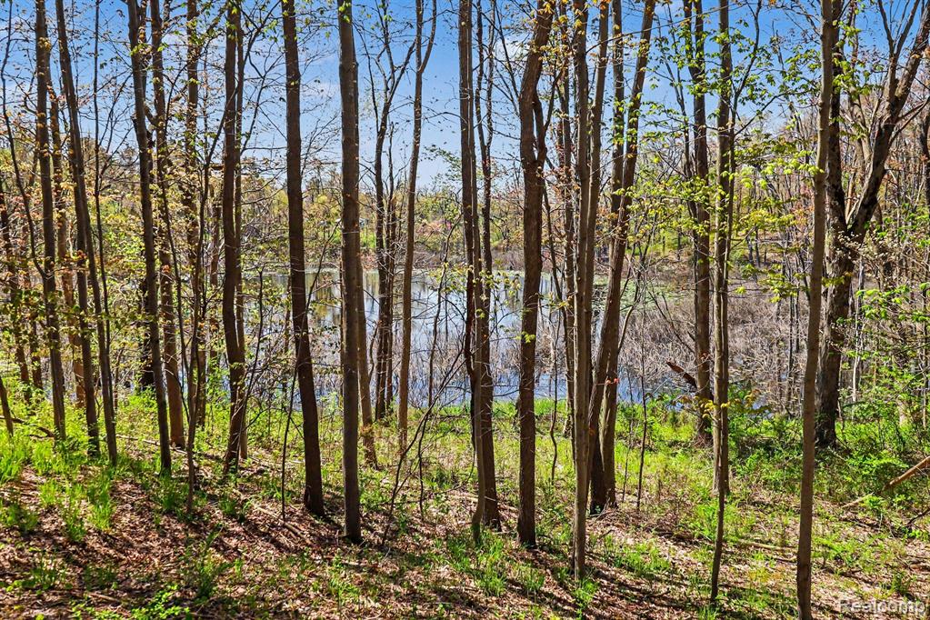 Parcel #3 Milford Rd, Holly, MI 48442 — Photo 13