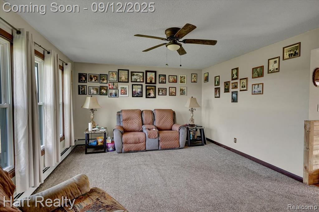 5745 ADAMS Road, Marlette, MI 48453 — Photo 7