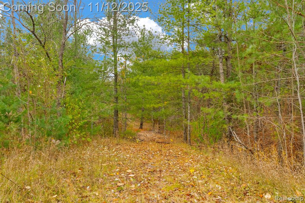 495 N M 65 Highway N, Curran, MI 48728 — Photo 36