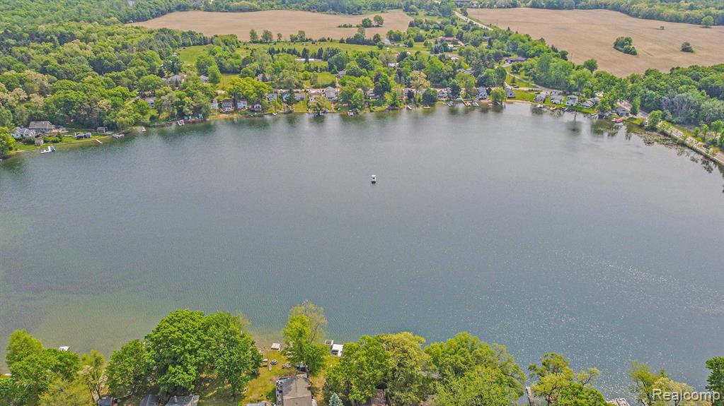 6288 Buckshore Drive, Whitmore Lake, MI 48189 — Photo 28
