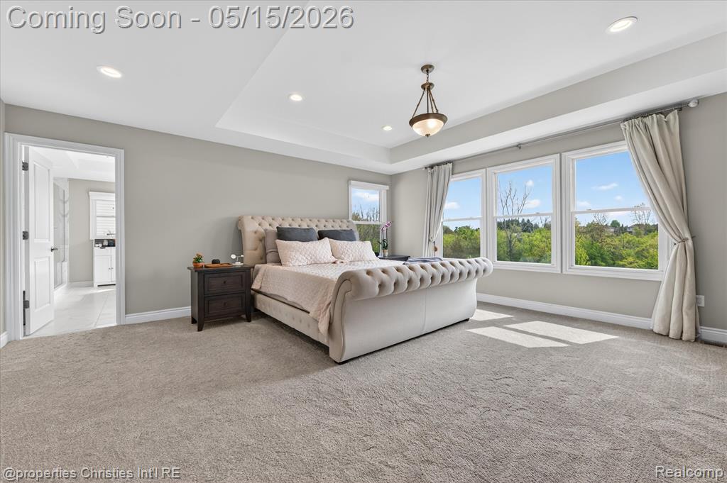 16674 Canvas Creel Court, Northville, MI 48168 — Photo 29