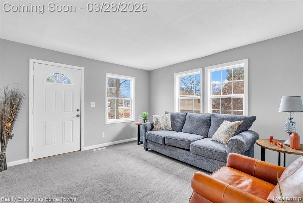 3981 Pine Grove Avenue, Fort Gratiot, MI 48059 — Photo 8