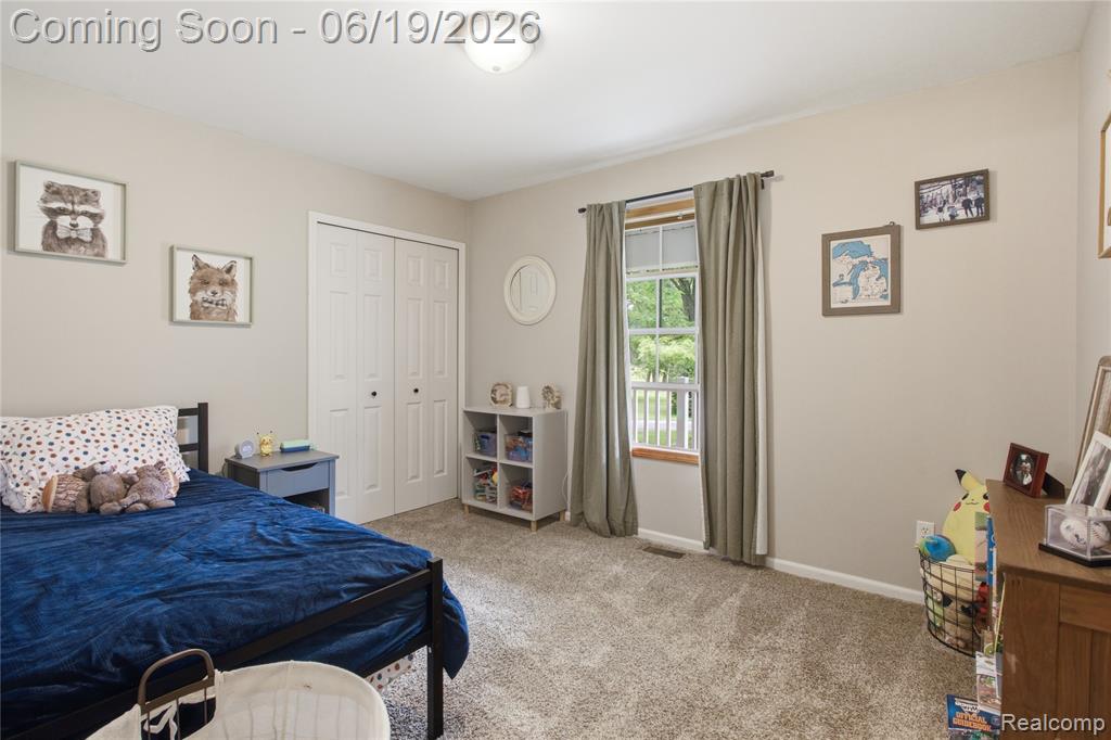 5739 Suntar Valley Drive, Fowlerville, MI 48836 — Photo 13