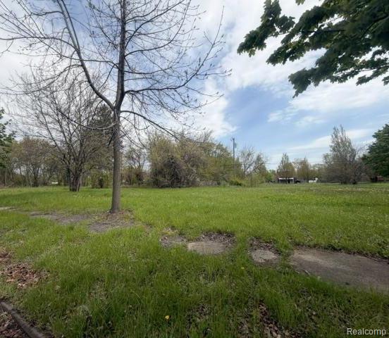 6008 Malcolm Street, Detroit, MI 48213 — Photo 3